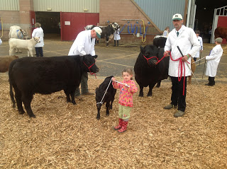 Round up of the first show of the season – Devon County