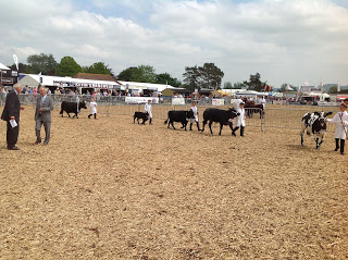 Royal Bath & West show