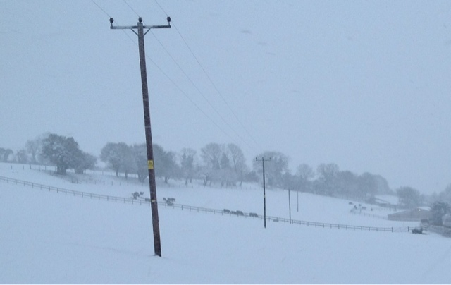 Snowy morning in dorset