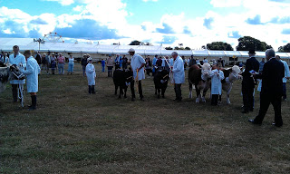 A Good day at dorset show!