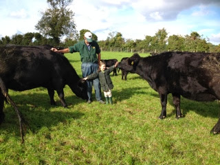 Checking the stock in the autumn sunshine