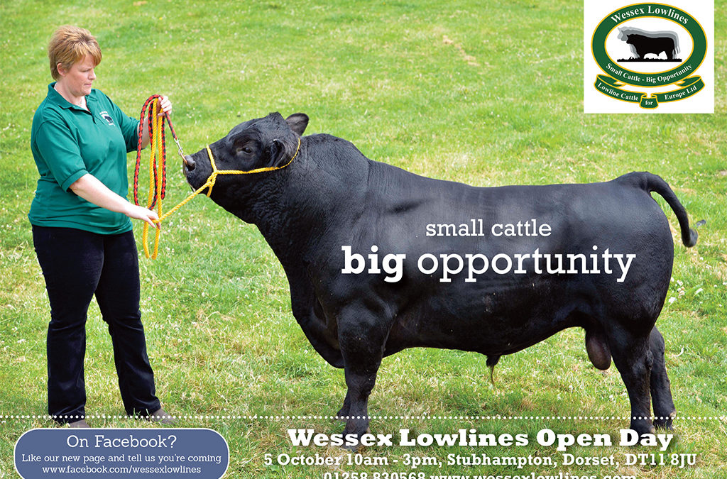 THE 3RD WESSEX LOWLINE ANNUAL OPEN DAY IS APPROACHING!