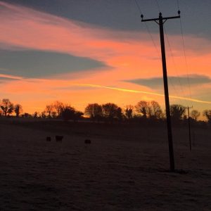 Another frosty morning